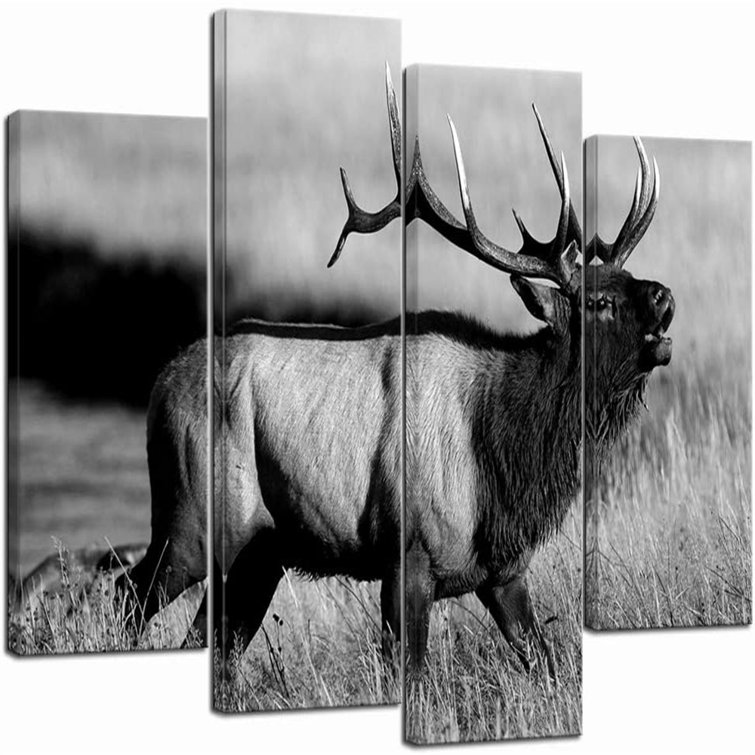 Loon Peak® 4 Piece Animal Picture Black And White Bull Elk Canvas Wall